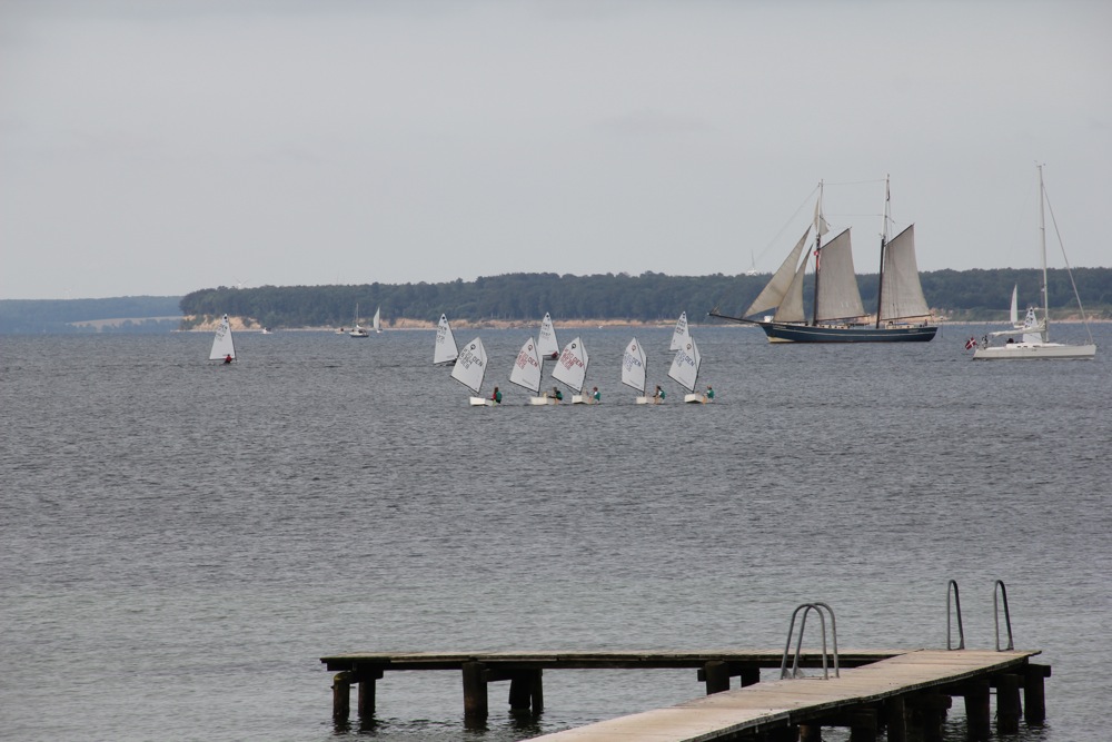 Vis 20110728 095523.jpg i fuld st�rrelse